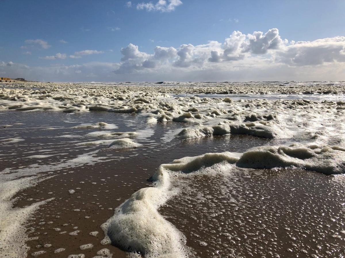Eco Lodge Duin- Unieke Locatie -Strand, Duin En Nabij Cultuursteden Castricum Eksteriør bilde