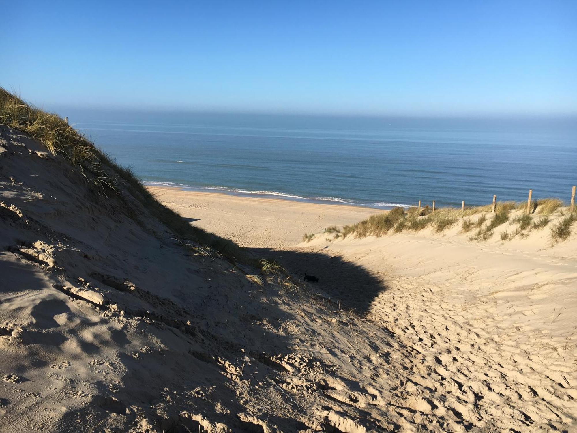 Eco Lodge Duin- Unieke Locatie -Strand, Duin En Nabij Cultuursteden Castricum Eksteriør bilde