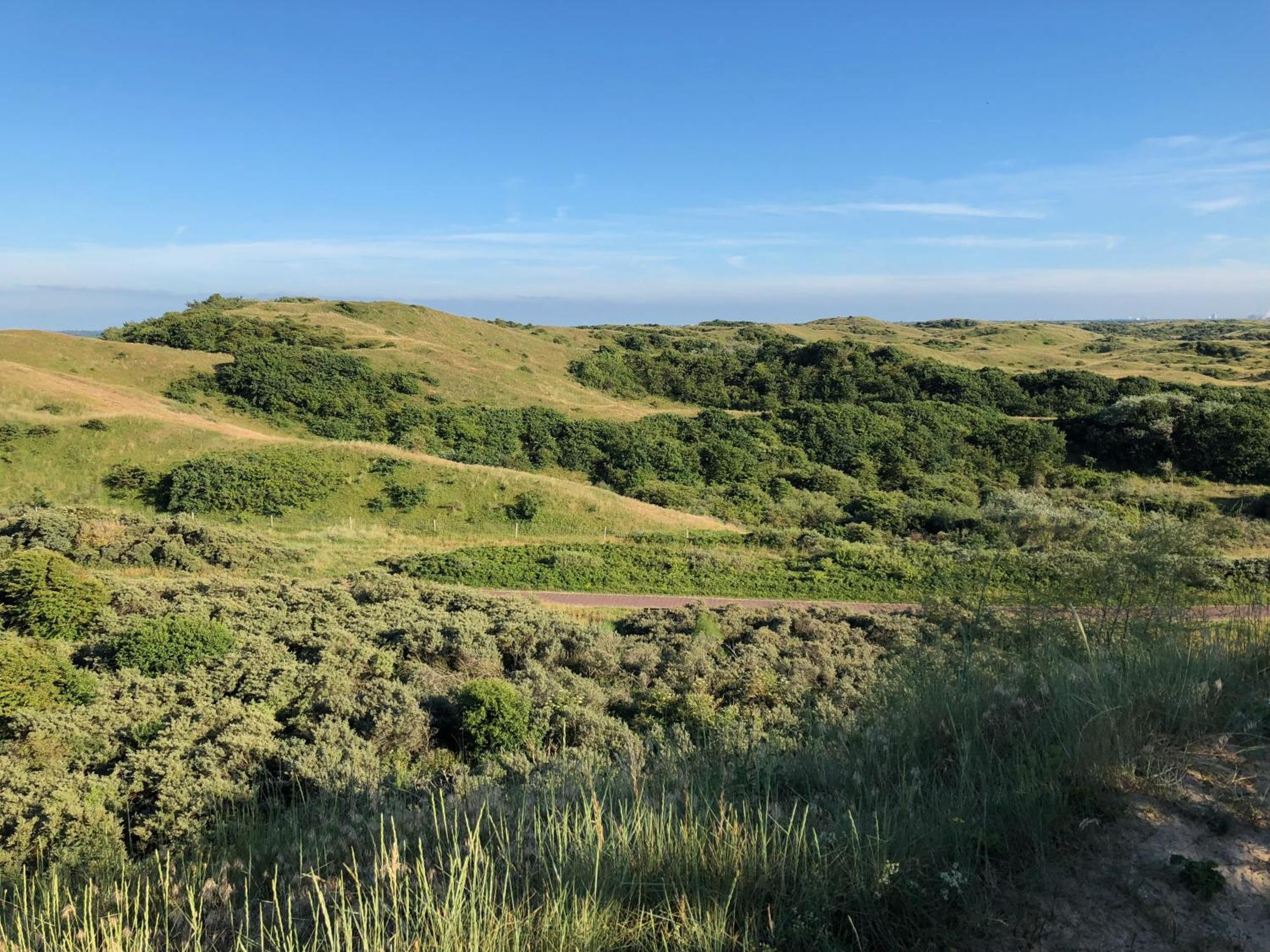 Eco Lodge Duin- Unieke Locatie -Strand, Duin En Nabij Cultuursteden Castricum Eksteriør bilde