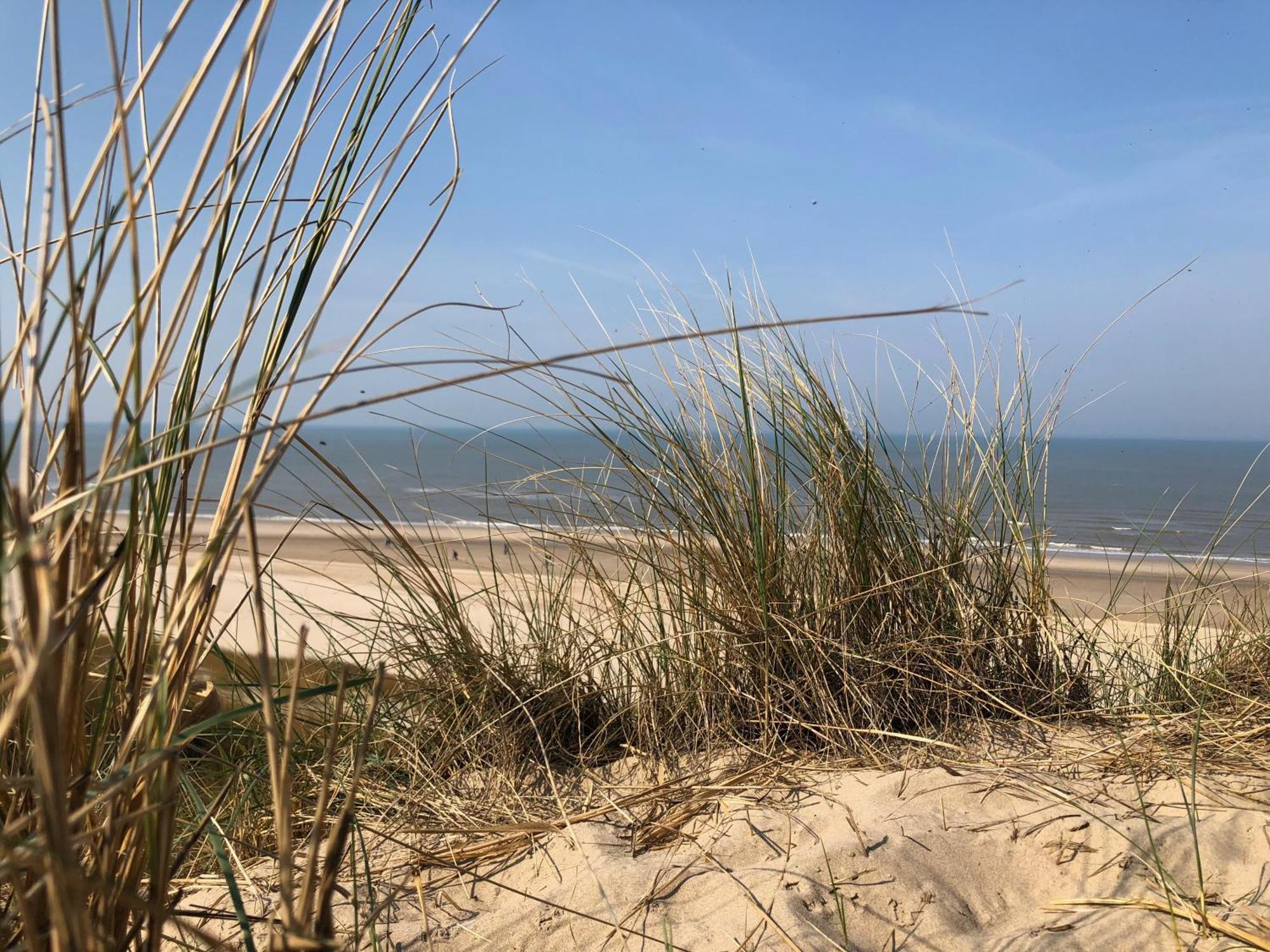 Eco Lodge Duin- Unieke Locatie -Strand, Duin En Nabij Cultuursteden Castricum Eksteriør bilde